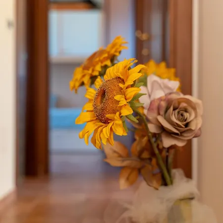 Apartman Mari Grace House - Alghero